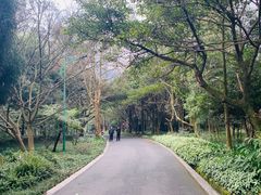 -峨眉山报国寺