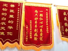 -宠爱国际动物医院· 猫科· 外科·中兽医(长白店)