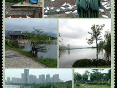 -飞来湖湿地公园