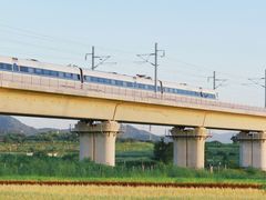 -光明小镇欢乐田园