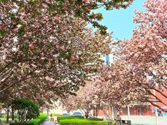 -唐山抗震纪念碑广场