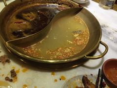 -杨家火锅(国美店)
