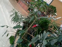 -北京世纪金源购物中心(远大路店)