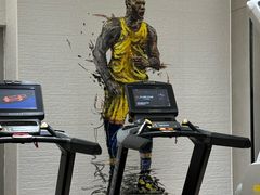 -FLARE STAR FITNESS(复地活力城店)