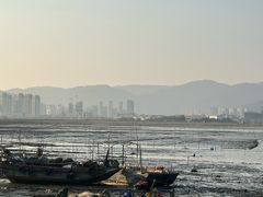-北岐滩涂