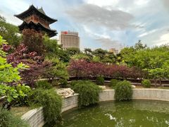 -迎泽公园