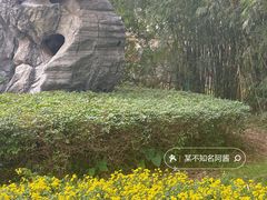 -海珠湖公园