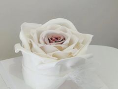 -你好独角兽·蛋糕甜品