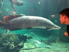 -华夏文旅海洋公园