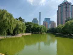 -团结湖公园