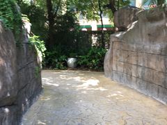 -热带风暴水上乐园(新镇路)