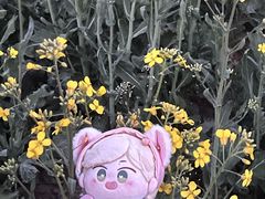 -汉长安城未央宫国家考古遗址公园