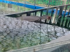 -太原动物园