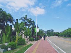-南沙蒲洲花园