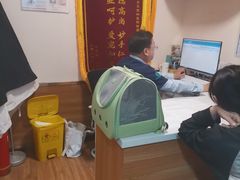 -瑞派·关忠动物医院·异宠专科·犬猫肿瘤·皮肤专科(望京店)