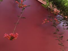 -长春观