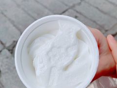 -洪馨椰子