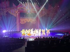 -珠海横琴长隆《卡卡虎奇遇记》