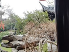 -凤城河风景区