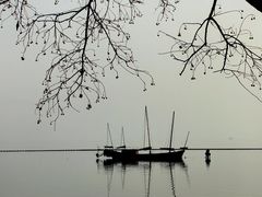 -贡湖湾湿地公园