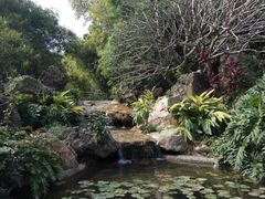 -晓港公园