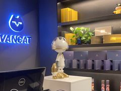 -梵猫·新养生(加州广场店)