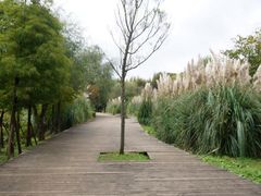 -贵阳市花溪国家城市湿地公园