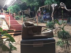 -中国第四纪冰川遗迹陈列馆