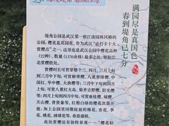 -堤角公园
