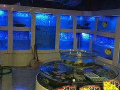 水产区-桃源尚品海鲜酒楼(京港澳高速店)