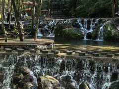 -牛背梁国家森林公园