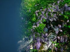 -敬亭山风景名胜区