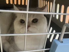 -联合动物医院(光谷诊疗中心)