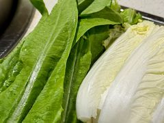 -东莞植物园