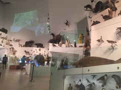 -墨尔本博物馆(Melbourne Museum)