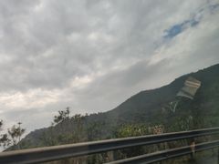 -玉苍山国家森林公园
