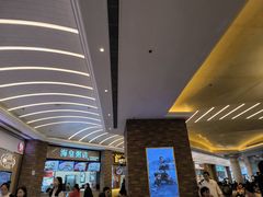-澳门威尼斯人综合度假区