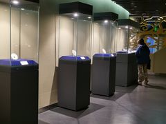 -鄂尔多斯青铜器博物馆