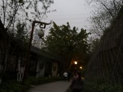 -重庆彩云湖湿地公园