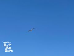 -傅家庄公园