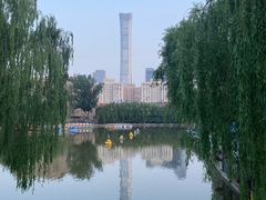 -团结湖公园