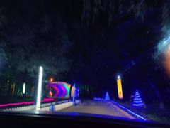 -枫花园汽车电影院(朝阳公园店)