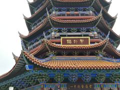 -铁山坪森林公园