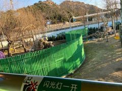 -西霞口神雕山野生动物世界