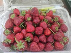 -南坛综合农贸市场