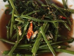 -Pakwan Restaurant & Bar