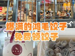 -鸿毛饺子(紫竹桥店)