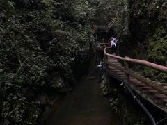 -青城山