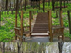 -洪泽湖古堰景区