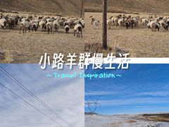 -日月山景区